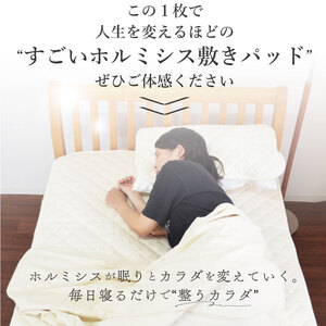 縫製の町！凄腕の蒲郡職人が本気で作った「すごい敷きパッド」【セミダブル】_【G0691】