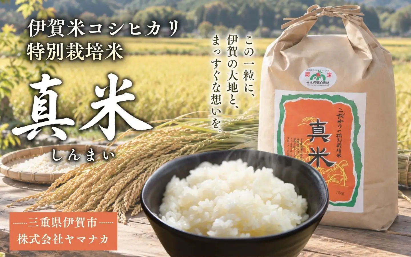 お米 伊賀米コシヒカリ 令和8年産新米 特別栽培米「真米」白米5kg ×6回お届け定期便【ymnk-tkb0003】