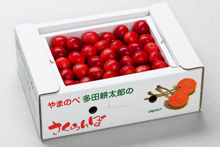 《先行予約》2027年産 山形県産 山形美人 L-2Lサイズ バラ詰め（パック）500g やまのべ多田耕太郎のさくらんぼ サクランボ tn-bjxxb500