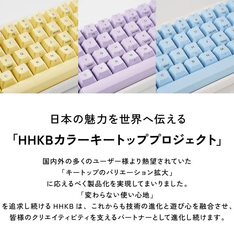 HHKBキートップセット（藤）日本語配列/無刻印 PD-KB420KTLPN 家電 キーボード パソコン PC 静電容量無接点 国産 国内製造 PFU ｜パソコン