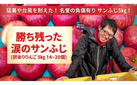 【訳あり品】 勝ち残った涙のサンふじ 5kg りんご サンふじ
