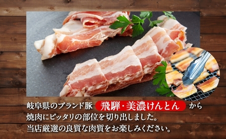 焼肉セット 飛騨・美濃けんとん 豚肉 4種 森本工房 焼肉セット【計1kg(各250g)】【冷蔵 定期便3ヶ月】