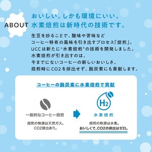 CN　水素焙煎コーヒーダークロースト豆　300g(001)