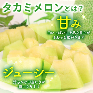タカミメロン 家庭用 約5. 5kg 青肉 訳あり メロン