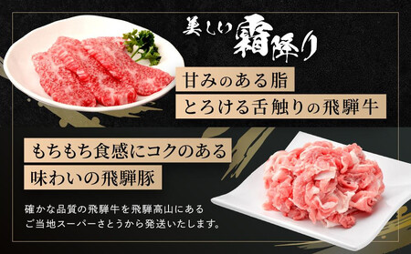 飛騨牛 焼肉 カルビ300g & 飛騨豚 バラ400g ファミリーストアさとう CY044VC13