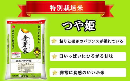 BG無洗米・金芽米つや姫 10kg (5kg×2袋) 計量カップ付き【令和7年産 時短 健康 特別栽培米 うまみ 甘み 栄養 おいしい 粒ぞろい ふっくら ビタミン ミネラル 島根県 安来市】【価格改定】【30-SS-66】
