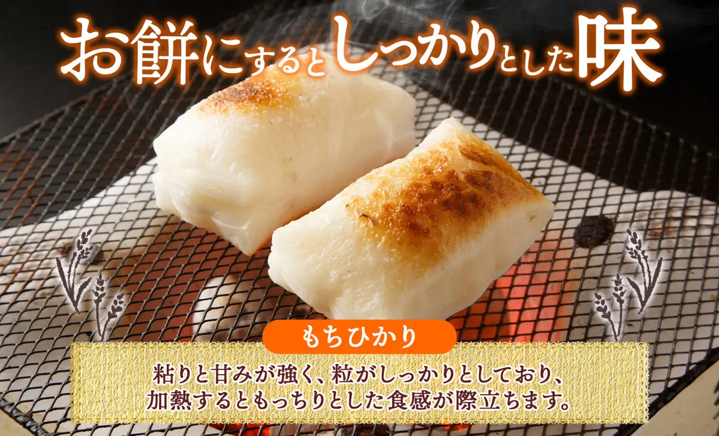 R8年産 平林農園 長野県産 もち米 もちひかり 精米 3kg お米 米 ライス 白米 ご飯 粘り 甘み お餅 餅 おこわ 赤飯 餅つき 炊き立て ホカホカ もちもち ふっくら しっとり 蒸す 炊く つく お正月 お取り寄せ ご当地 長野県 大町市