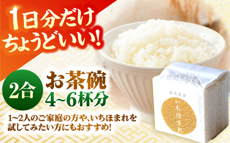 福井県産 いちほまれ 300g×6個 2合 真空パック 小分け  / 白米 国産米 福井県 ブランド米 保存しやすい 小浜市 / シマダ農園[BFAV011]
