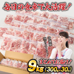【大容量!!】九州産豚小間切れ 9kg 300g×30P（国産 豚 豚肉 小間切れ 豚小間 豚こま 切り落とし 真空 小分け 冷凍 宮崎県 小林市 ）