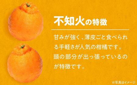 不知火 完熟不知火 10kg 【2月下旬から順次発送】[AGAW004]