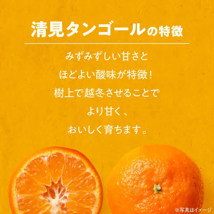 きよみタンゴール 10kg きよみ【3月下旬から順次発送】[AGAW006]