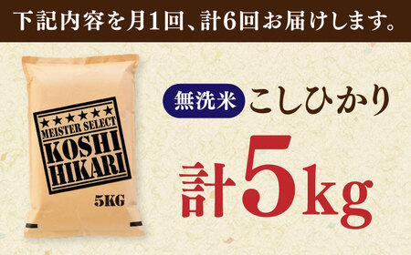 【全6回定期便】令和7年産 こしひかり 無洗米 5kg / お米 ふるさと納税 A評価 / 佐賀県 / 大塚米穀店 [41ANAD043]