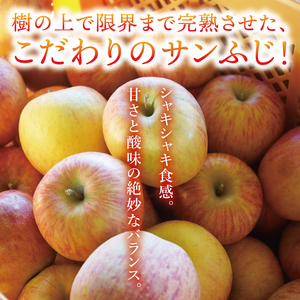 【先行予約】仲野りんご園の奥久慈りんご「サンふじ」約3kg（9～12玉）｜茨城県 大子町 樹上完熟 林檎 アップル 果物 フルーツ 旬 秋 味覚 ギフト 贈答（DF001）