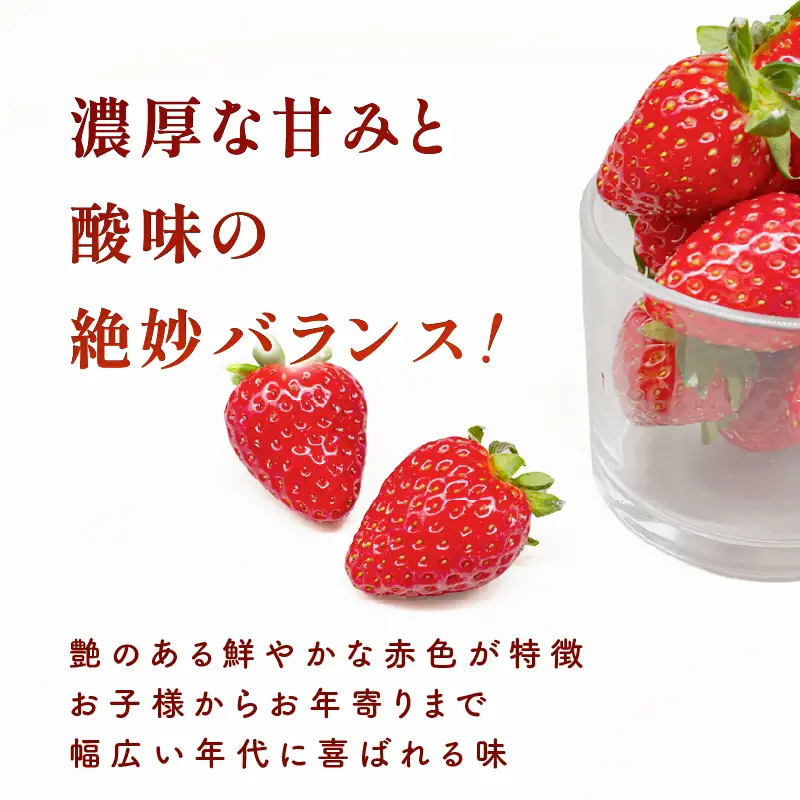 【2027年1月～発送】いちご 260g×4パック 古都華いちご