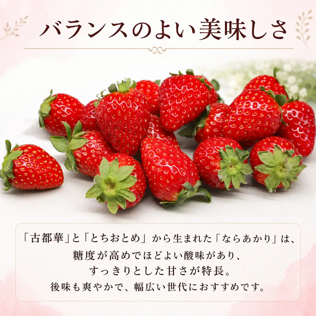 【2027年1月～発送】いちご 260g×4パック ならあかりいちご