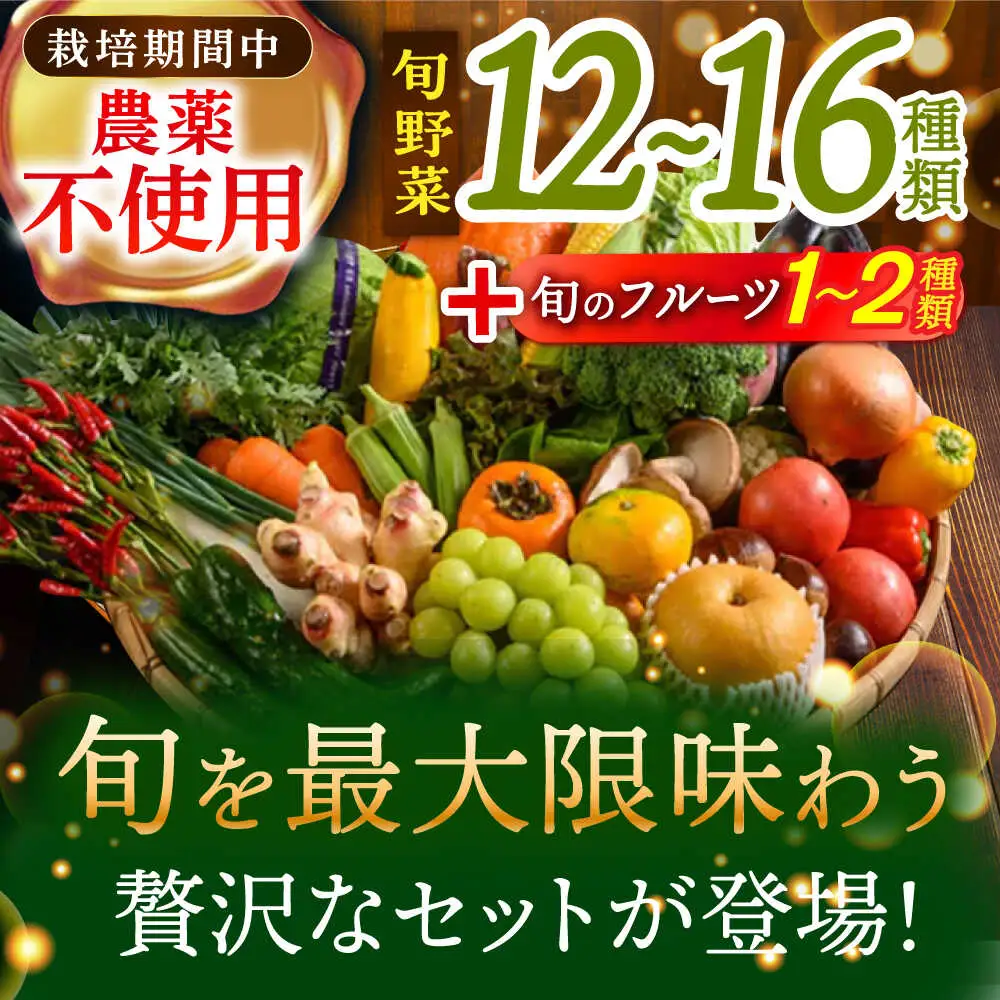 野菜+果物 詰め合わせ（13-17種）果物 フルーツ[AGBX006]