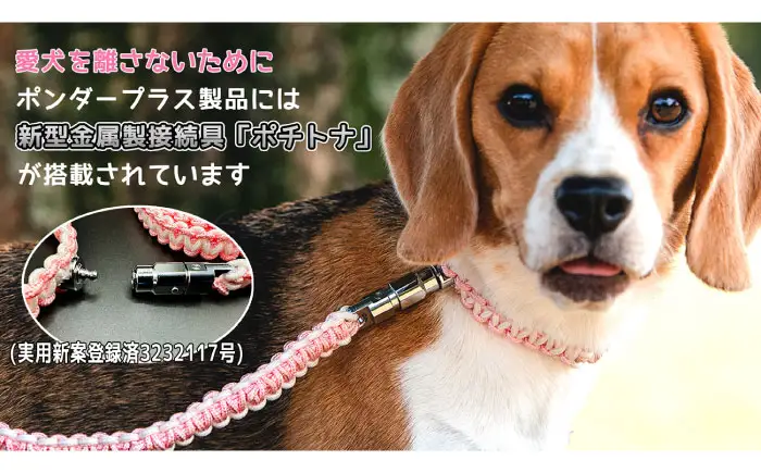 ペット 犬の首輪＆リードセット ピンク M ペット BLBX002