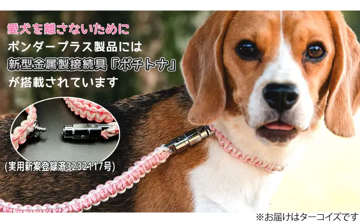 ペット 犬の首輪＆リードセット ターコイズ L ペット BLBX007