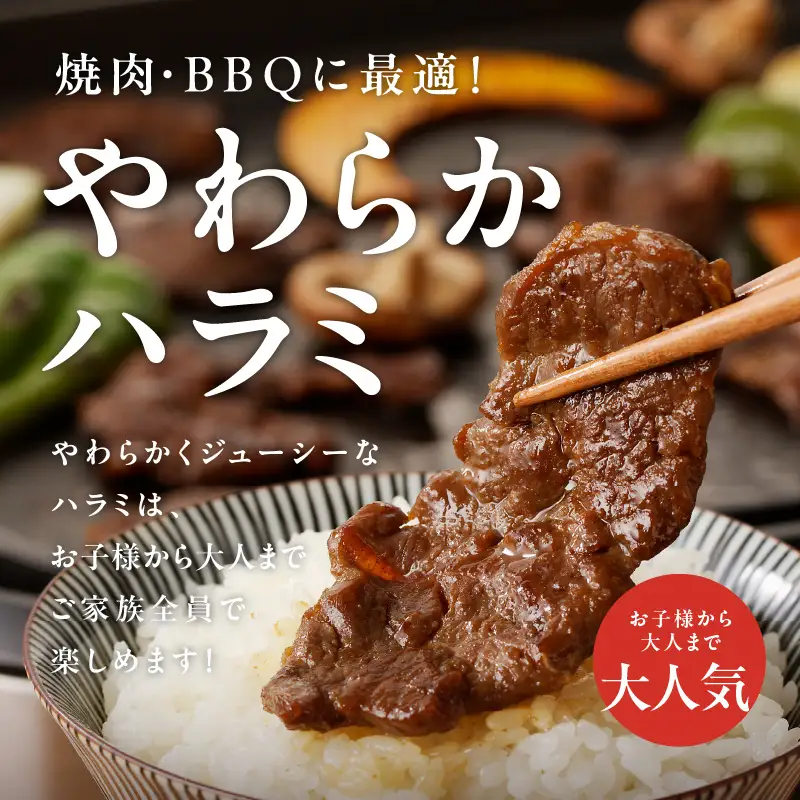 やわらかハラミ 1kg