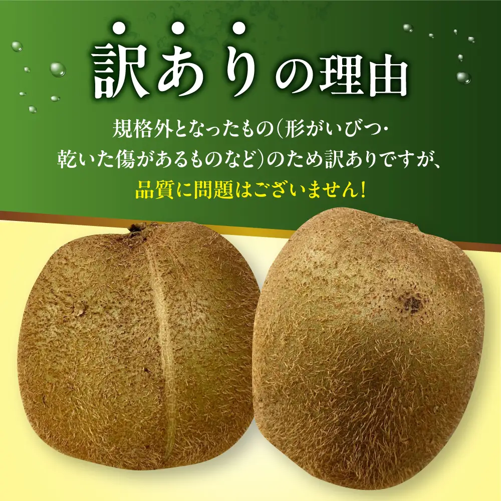 キウイ 訳あり 約2kg [AGBN051] キウイ
