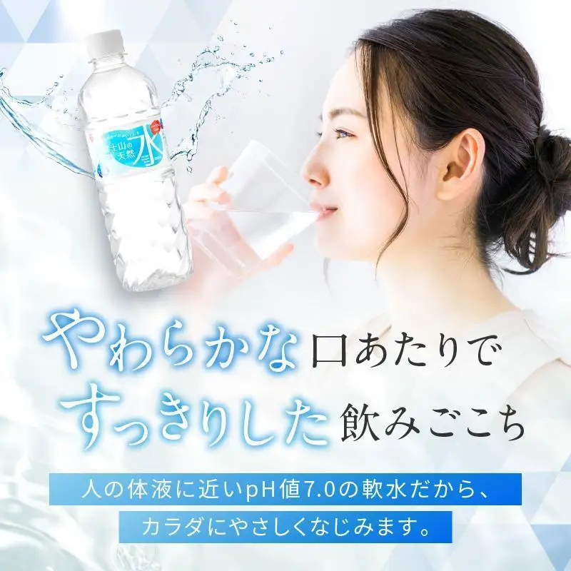 天然水【定期便2ヶ月毎6回】500ml 24本 天然水