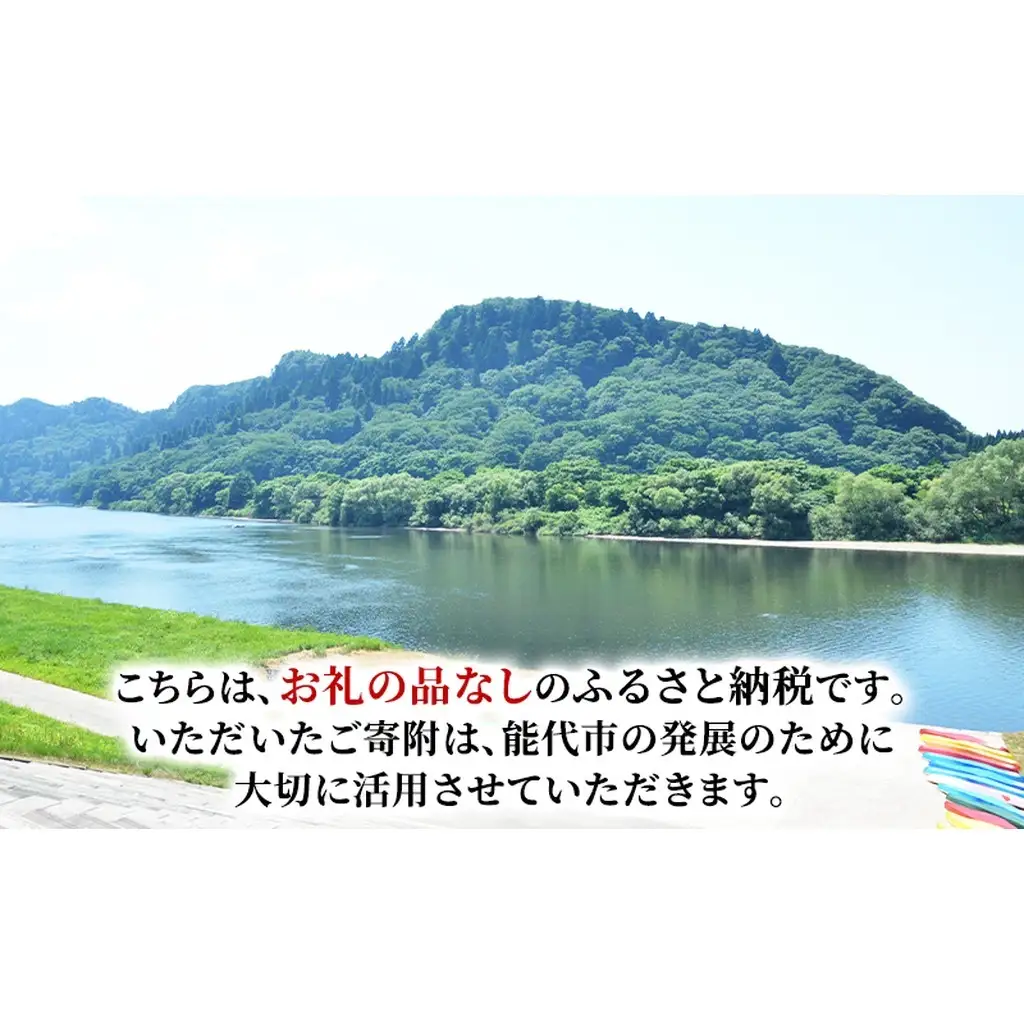 【返礼品なし】秋田県能代市への寄付 応援 支援 寄附のみ 10,000円【能代市ふるさと納税】