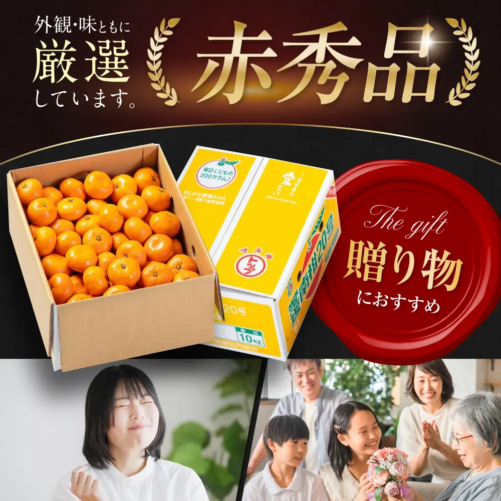 みかん 10kg（南柑20号）みかん[AGAO007] | 愛媛県大洲市 | ふるさと