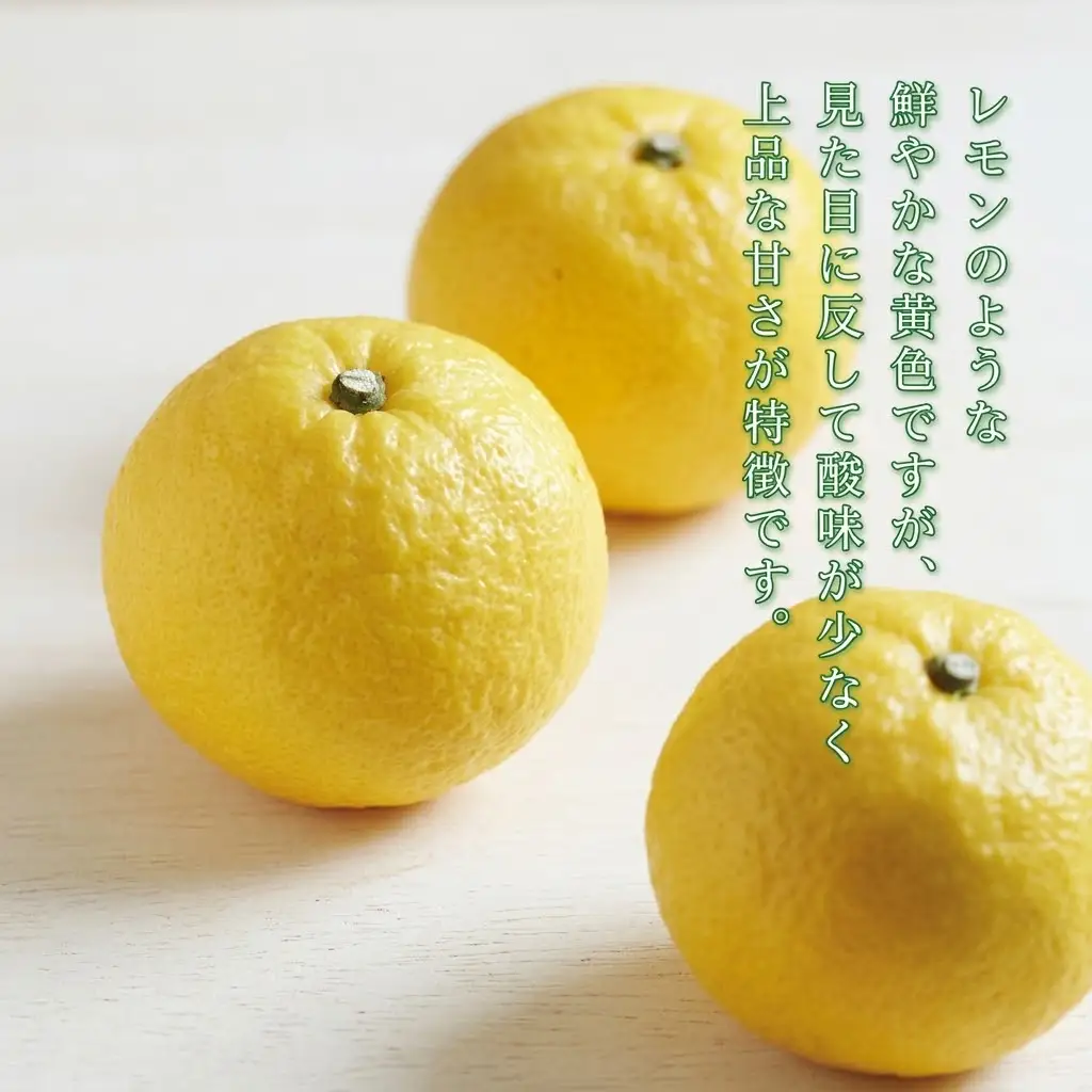 訳あり はるか 1.5kg あいなんマザーズ