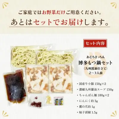 Z69-01 おどろきっちん 博多もつ鍋セット(九州醤油仕立て) 2～3人前 もつ鍋