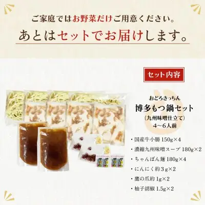 Z69-04 おどろきっちん 博多もつ鍋セット(九州味噌仕立て)国産牛もつ600g 4～6人前 もつ鍋