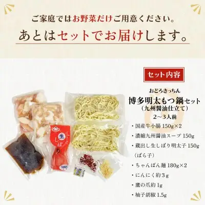 Z69-05 おどろきっちん 博多明太もつ鍋セット(九州醤油仕立て)  2～3人前 もつ鍋