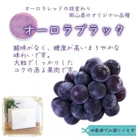 岡山　花笑み農園のブドウ『オーロラブラック』1kg(2房)　A-1【配送不可地域：離島】【1693703】