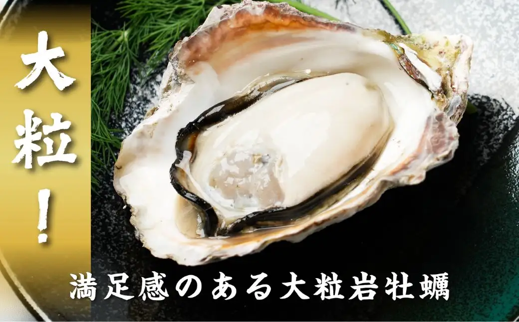 海士町産 牡蠣 冷凍 1kg以上  牡蠣