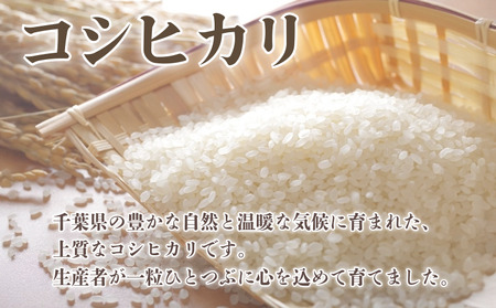  コシヒカリ 10kg 令和7年産 コシヒカリ
