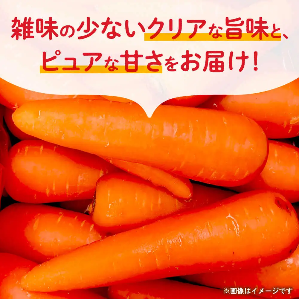 【先行予約】にんじん 約5kg 天日塩＆発酵土壌で作ったこだわりの人参 【株式会社 夢アグリ】[ZCL019]