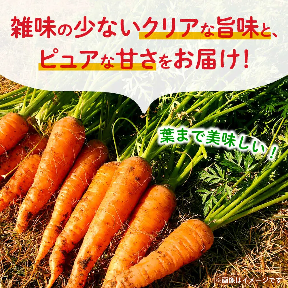 【先行予約】葉付きにんじん 約5kg　天日塩＆発酵土壌で作ったこだわりの人参 【株式会社 夢アグリ】[ZCL021]