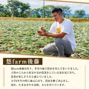 士別産玉ねぎ 5kg たまねぎ 2026年10月中旬以降発送【悠farm後藤】A7131
