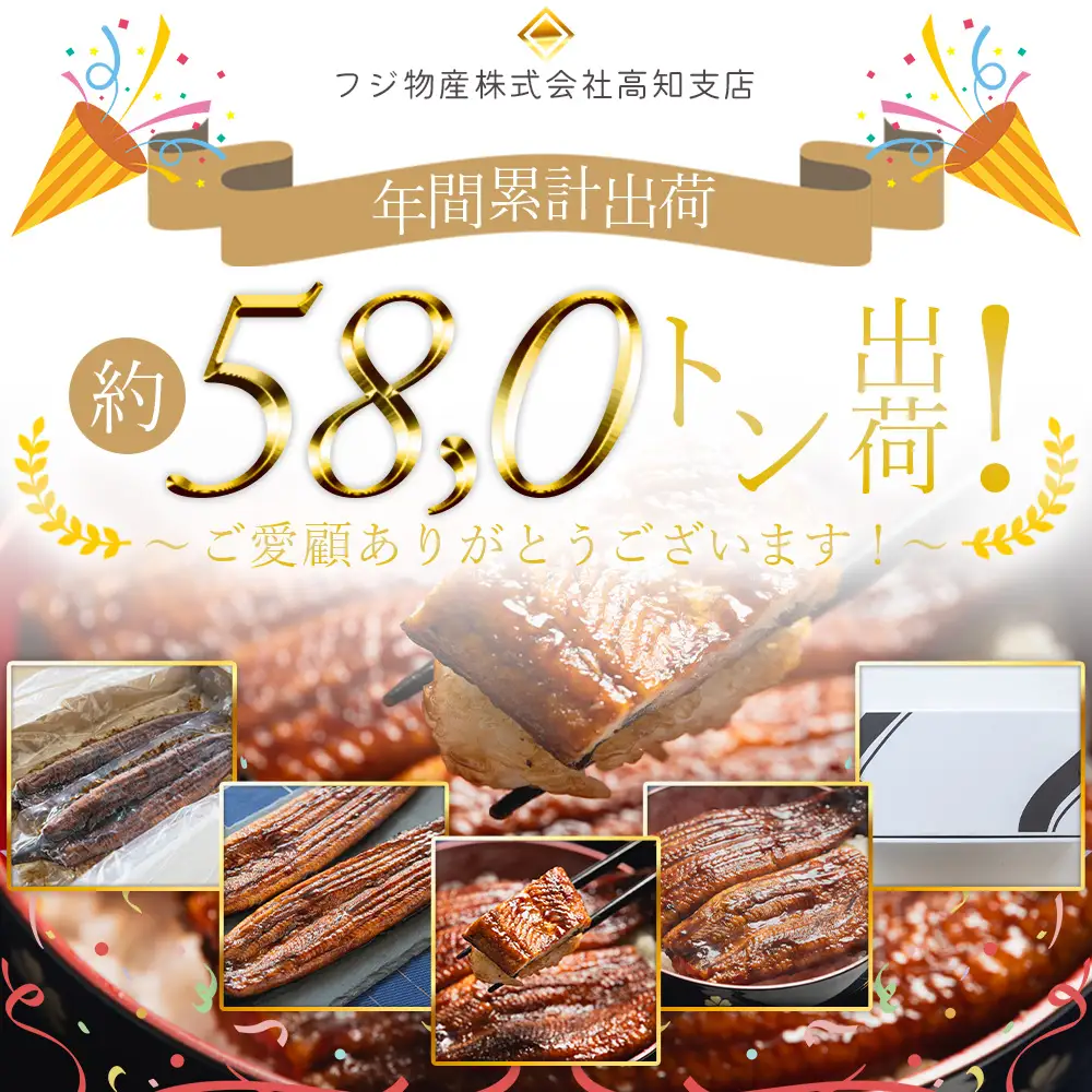 国産うなぎ ２尾 ２８０ｇ 高知県産 うなぎ fb-0144