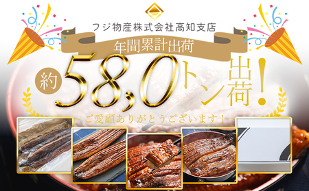 高知県産蒲焼きうなぎ 約１４０ｇ １０尾 計約１４００ｇ fb-0150
