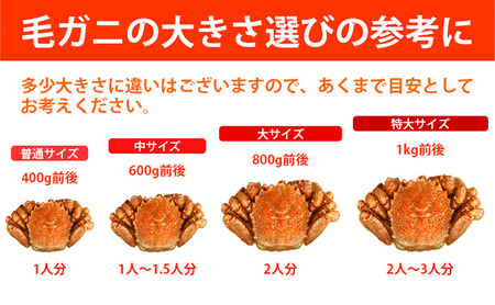 オホーツク産 冷凍ボイル毛ガニ 約360g×4尾 毛がに