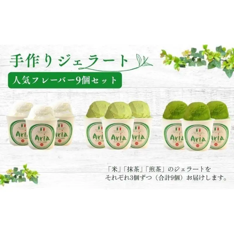 ジェラート 手作り 人気フレーバー 9個セット 詰合せ ジェラート