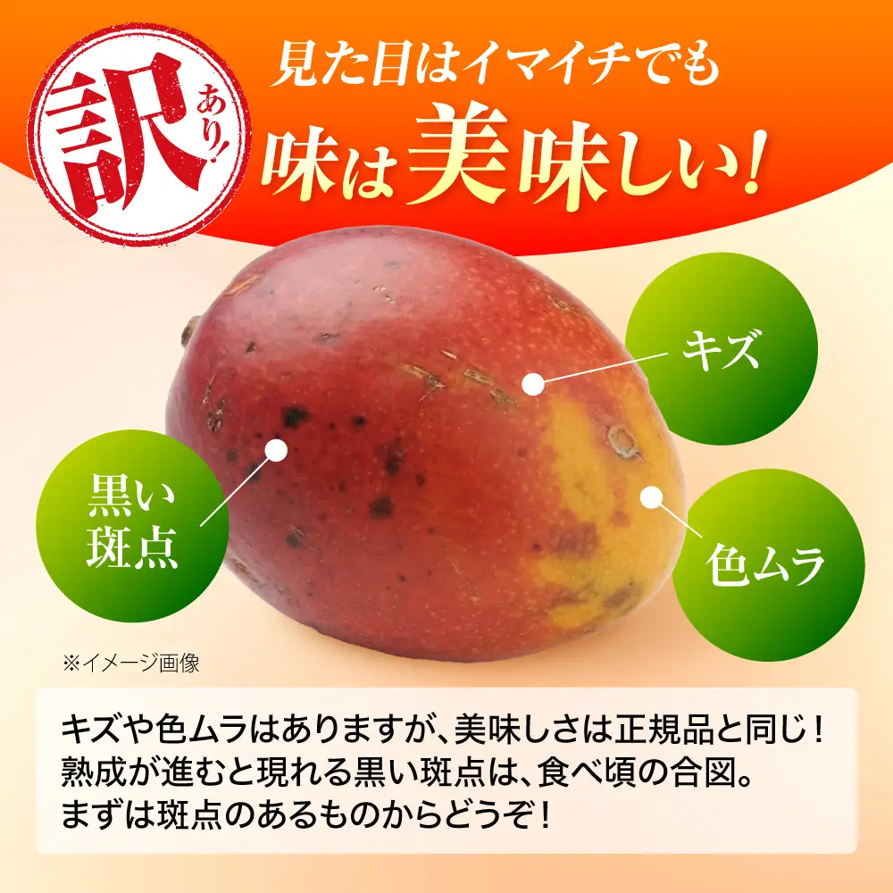 マンゴー 【2027年発送】訳ありマンゴー 沖縄 約4kg BCAA007