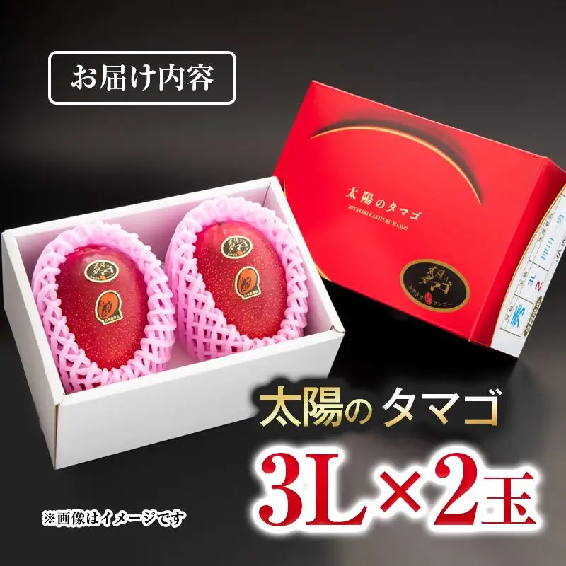 【先行予約】最高級ブランド『太陽のタマゴ』大玉 3L×2個【糖度15度以上】宮崎県西都市産完熟マンゴー＜71-1a＞2026年発送
