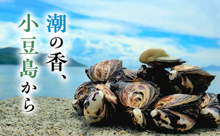 牡蠣 シマビト 殻付き 小豆島産 牡蠣【50個】【生食用】