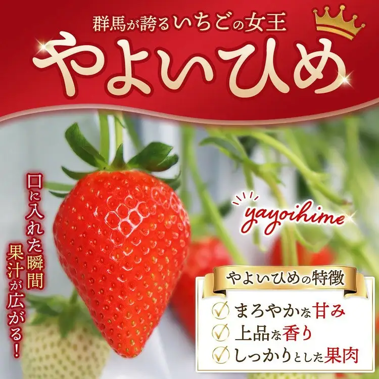 厳選 やよいひめ プレミアムギフトBOX 2箱 （3～4月発送） | いちご 大粒 高糖度 果物 フルーツ 苺 イチゴ くだもの 新鮮 朝採れ 朝どれ ギフト プレゼント 贈り物 国産 群馬県 伊勢崎市 ※2027年3月～発送