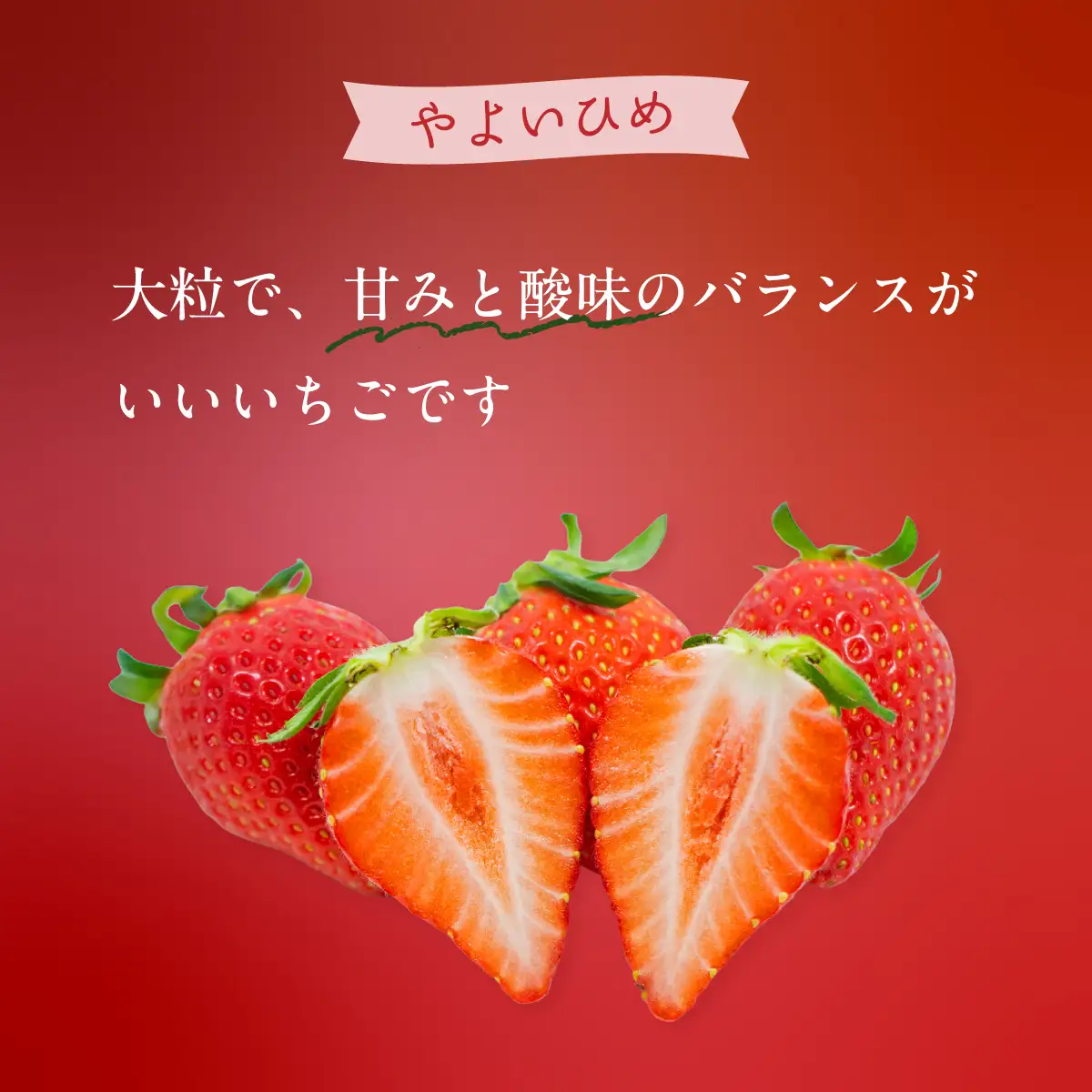 いちご やよいひめ 260g×4P やよいひめ 埼玉県 久喜市