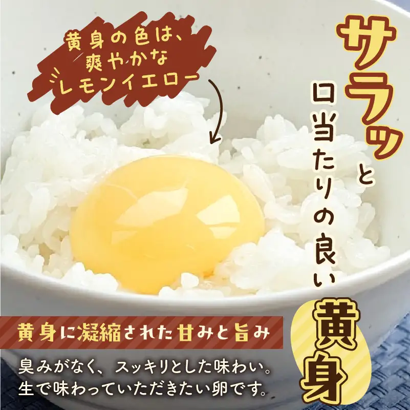 【 全3回 定期便 】 平飼い たまご T074-T01-01 卵