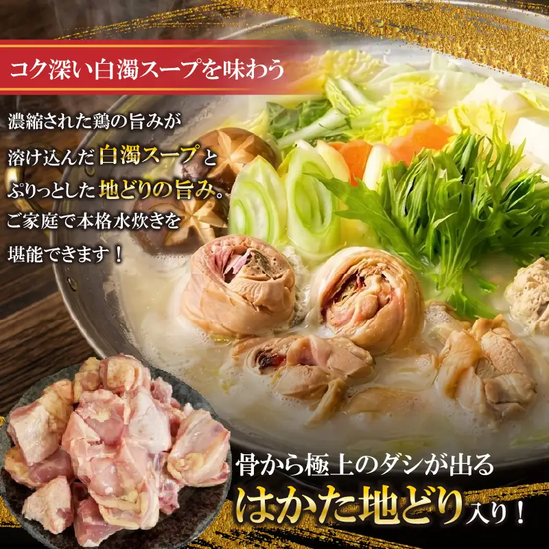 上田商店 水炊きセット【5～6人前】追い地どりセット [M951-1]