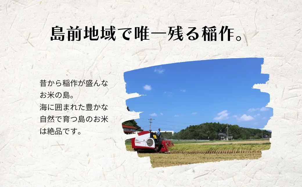 【令和8年度産】＜定期便4ヵ月＞お米 きぬむすめ 10kg×4回 定期便 お米