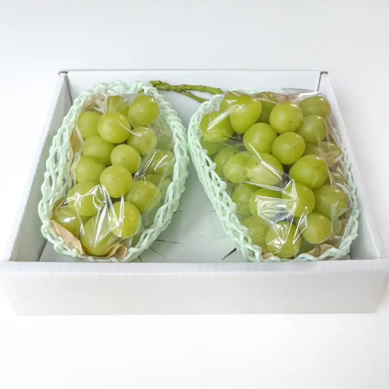 はじける美味しさ！山形の朝どりシャインマスカット 800g～1kg 1～2房【令和8年産先行予約】FS25-134